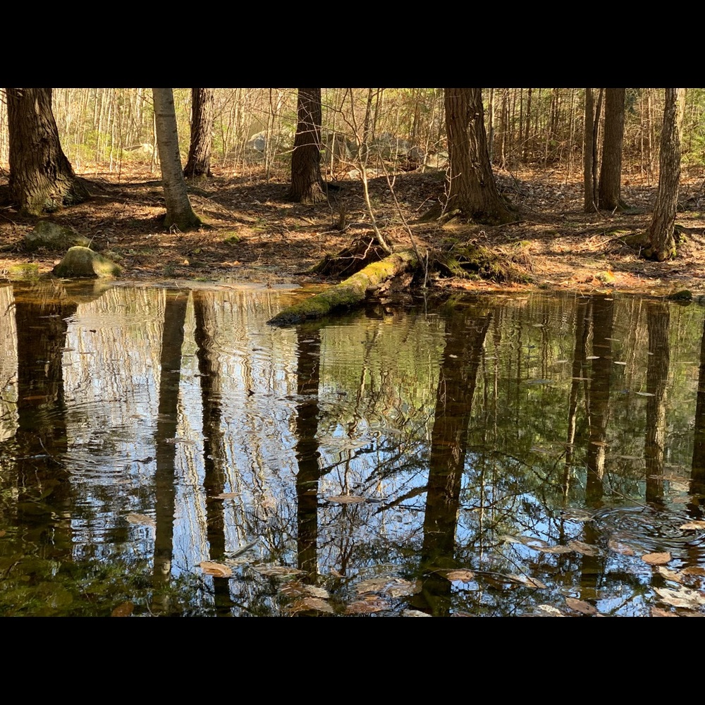 Meet your Posher, Karina